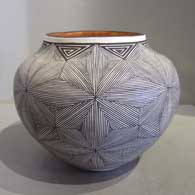 Polychrome jar with snowflake fine line design Snowflake fine line design on a polychrome jar
