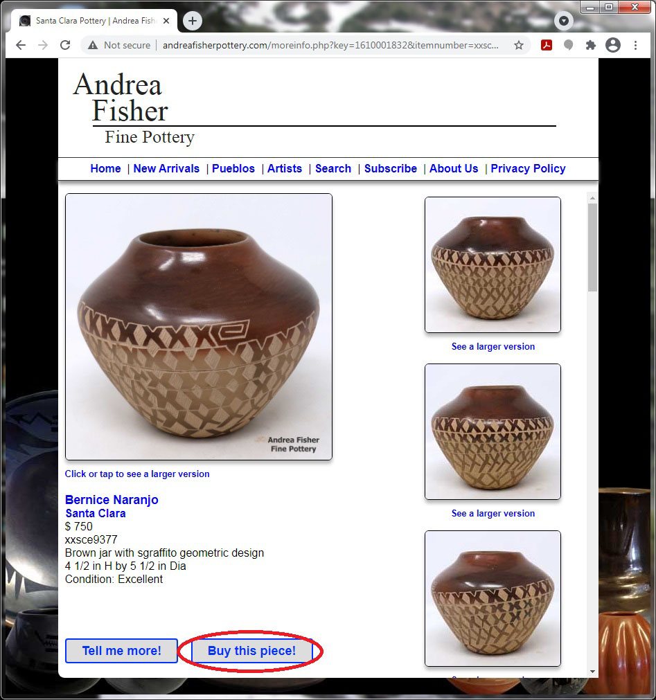 Image of the web page with the Buy this piece button circled in red