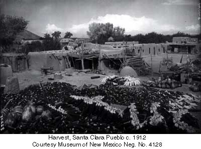 Harvest, Santa Clara Pueblo c. 1912
Courtesy Museum of New Mexico Neg. No. 4128