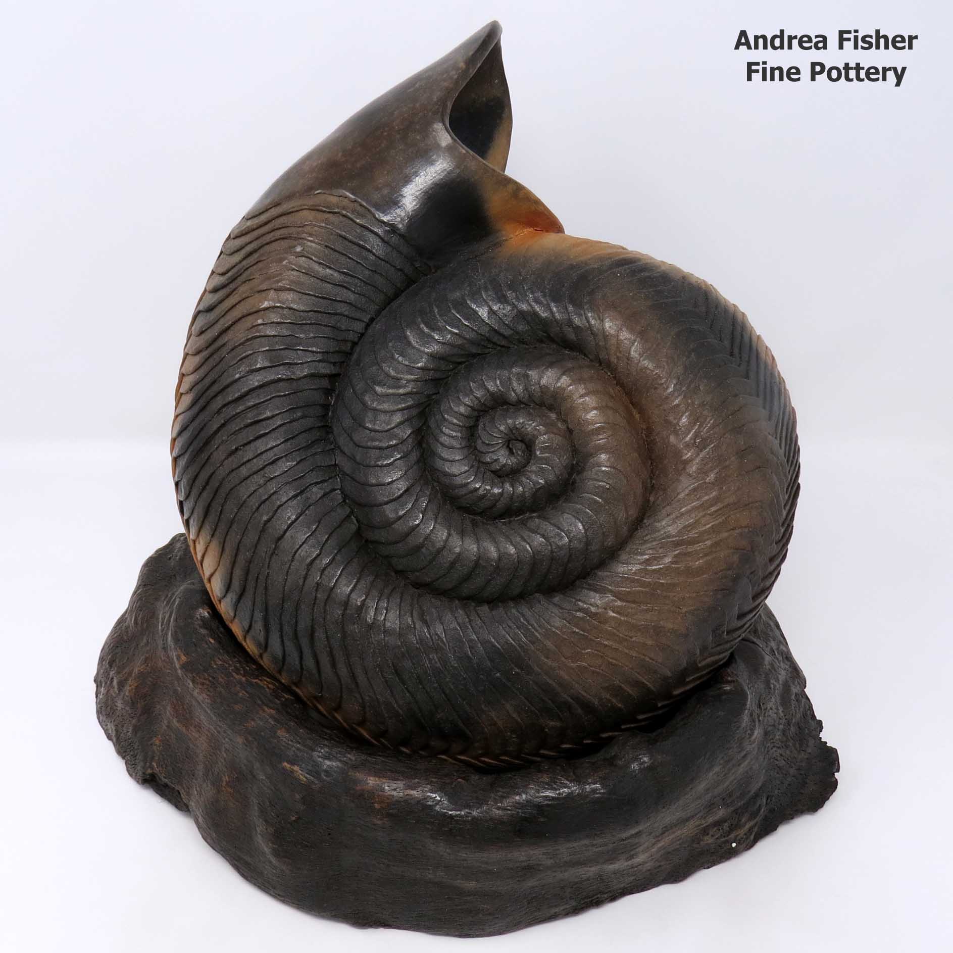 Click or tap to see a larger view Mollusk sculpture piece with custom driftwood stand
made by Jamie Zane Smith of Wyandot