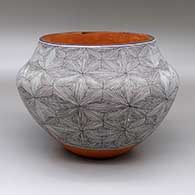 A polychrome jar decorated with a snowflake fine line geometric design around the body
 by Rebecca Lucario of Acoma