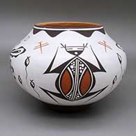Polychrome jar with a butterfly, dragonfly, frog, tadpole, and geometric design
 by Anderson Jamie Peynetsa of Zuni