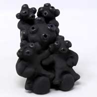 An all-black Santa Clara mudhead family A Santa Clara mudhead family in black