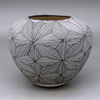 A black on white jar decorated around the body with a snowflake fineline geometric design
 by Rose Leno Chavez of Acoma