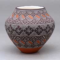 A polychrome jar decorated with a fineline and geometric design
 by Amanda Lucario of Acoma