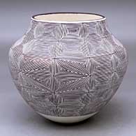 A black on white jar decorated with a snowflake and spiral fineline and geometric design
 by Franklin Peters of Acoma
