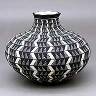 A black on white jar with a short neck and pie crust rim decorated from top to bottom with a fineline and geometric design
 by Paula Estevan of Acoma