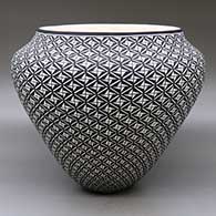 A large black on white jar decorated all over with an eye-dazzling geometric design
 by Paula Estevan of Acoma