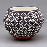 A polychrome jar decorated around the body with a yucca leaf snowflake and geometric design
 by Rebecca Lucario of Acoma