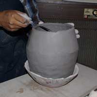 Beginning the first trim